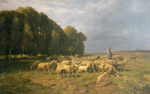 Troupeau de moutons dans un paysage